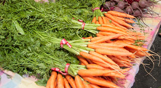 fresh organic carrots and beets at farmers' market